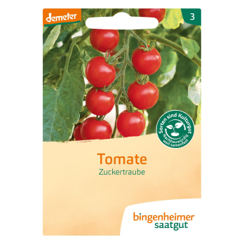 Saat Cocktailtomate Zuckertraube